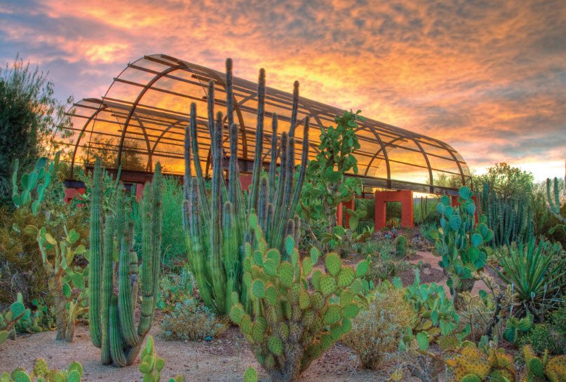 Desert Botanical Garden, United States